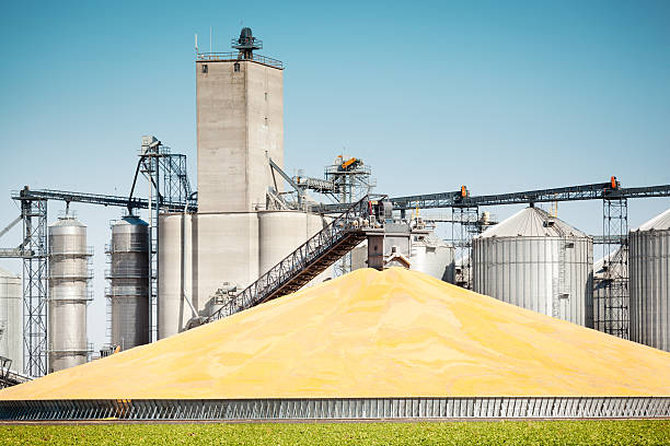 Deputados aprovam projeto que beneficia complexo industrial do milho