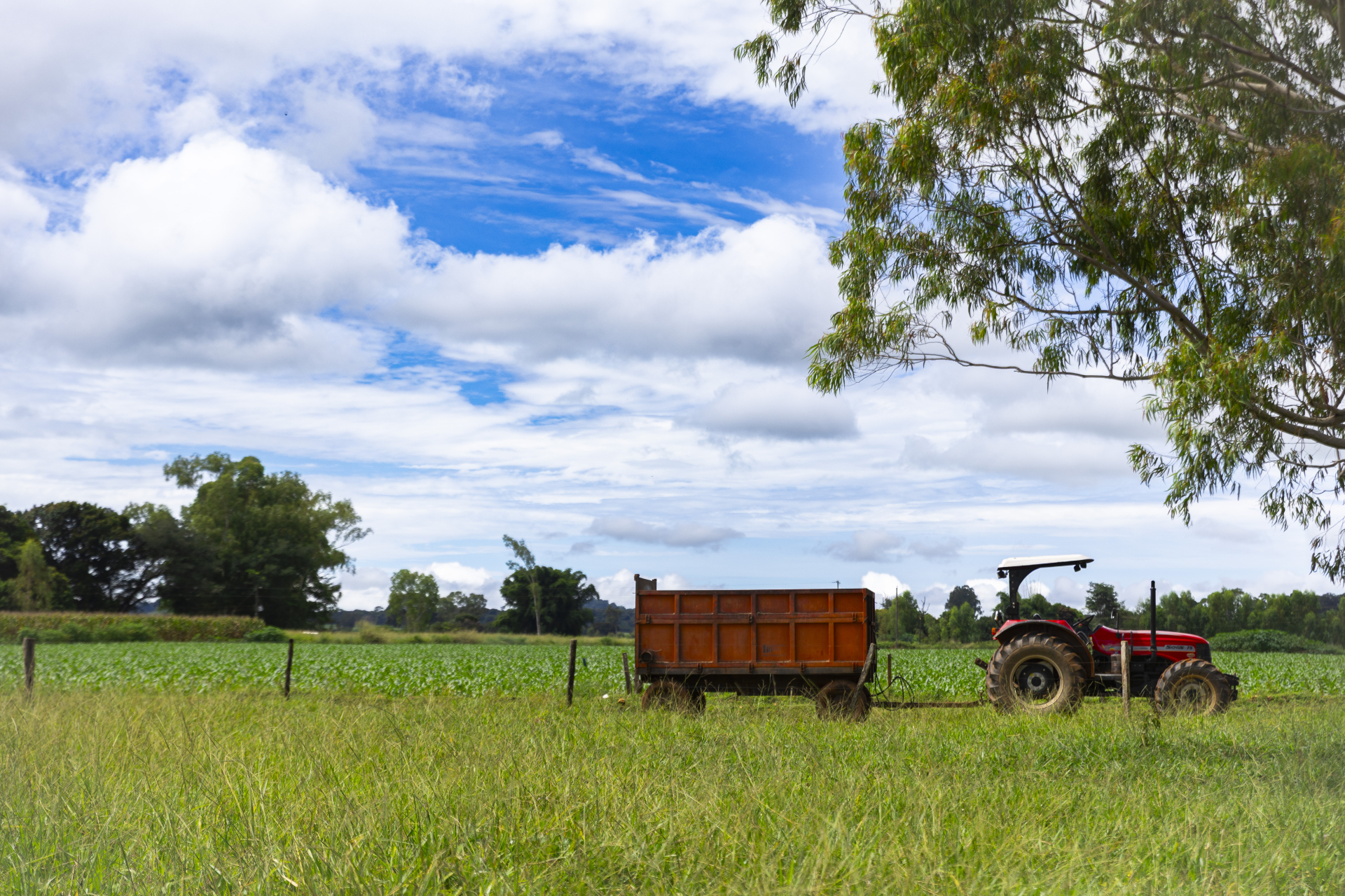 Produtores rurais devem atualizar contratos de arrendamento ou comodato no Cadastro de Contribuintes do Estado