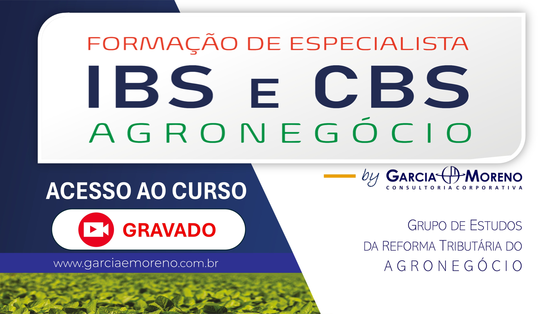 Curso IBS e CBS para o Agroneg�cio, Assista aqui!